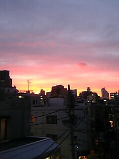 夕焼けニャンニャン